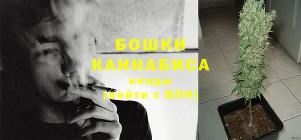 трава Армянск
