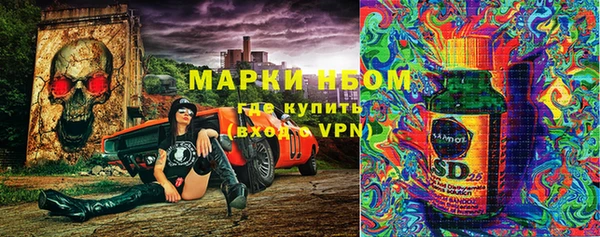 стафф Вуктыл