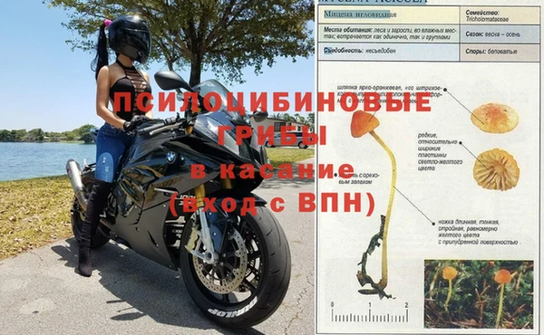 гашик Богородск
